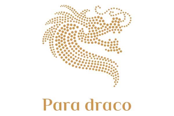 logo du an para draco - DỰ ÁN BIỆT THỰ PARA DRACO CAM RANH