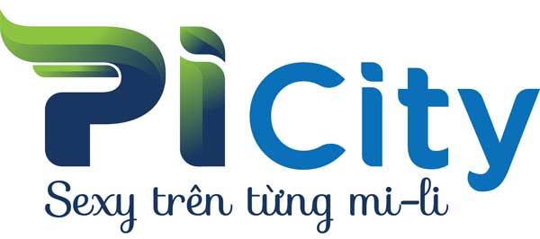 logo-picity