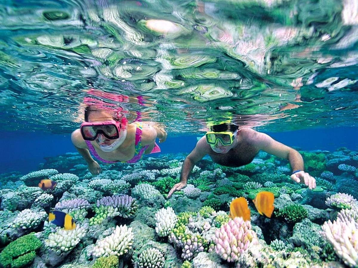 Lặn san hô với vẻ đẹp thuần khiết của biển Quy Nhơn - DỰ ÁN VINPEARL QUY NHƠN