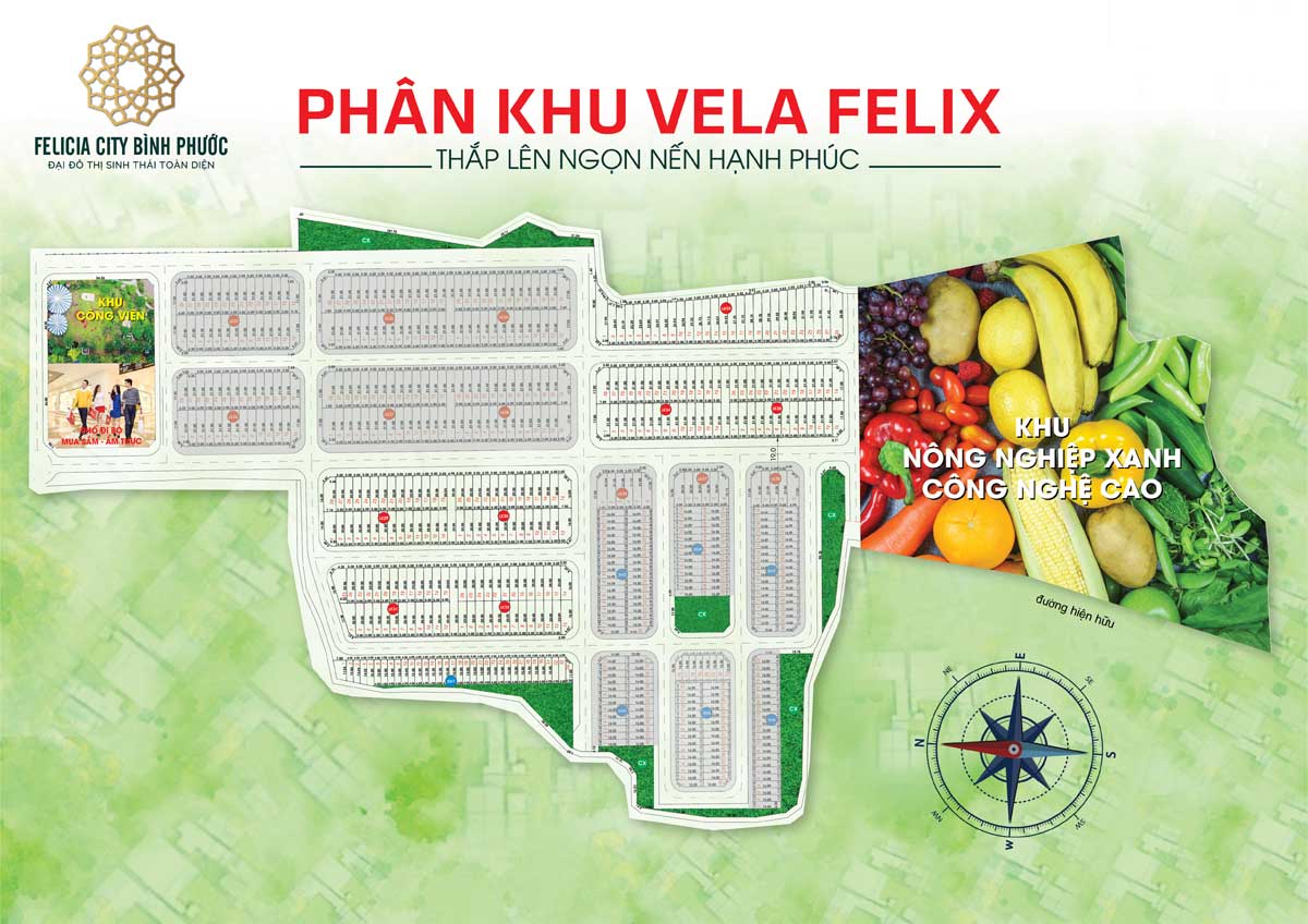 Mat bang phan khu Vela Felix Du an Felicia City Binh Phuoc - FELICIA CITY BÌNH PHƯỚC