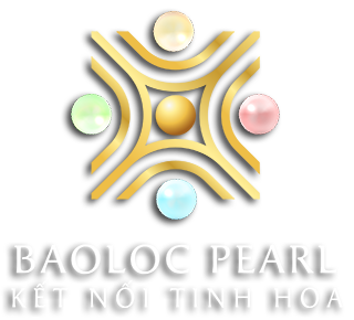 logo baoloc pearl - Bảo Lộc Pearl