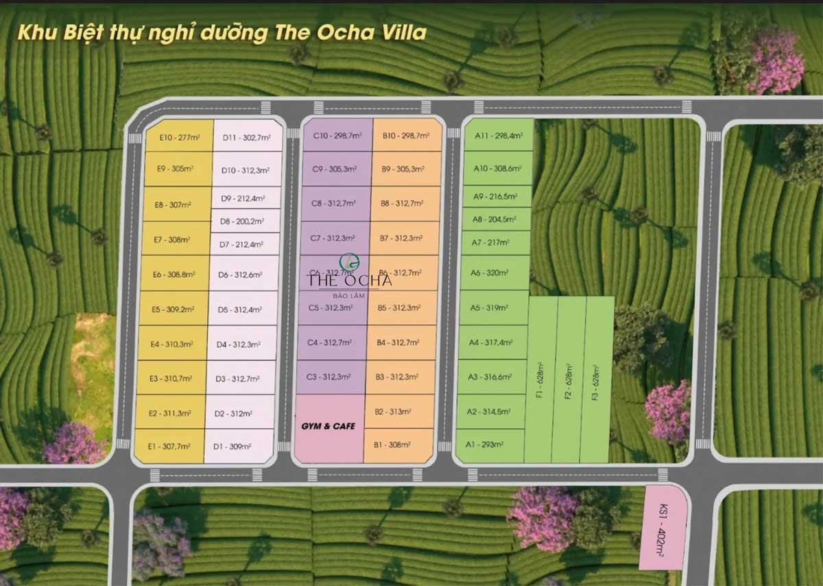 Mat bang Phan lo Du an The Ocha Villas Bao Loc - The Ocha Bảo Lộc